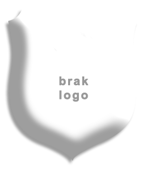 brak logo2